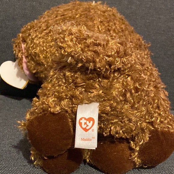 🔥Today only sale💥Ty Beanie Boos Plush Roxie the Raccoon& Maddie the Poddle 9" - Picture 4 of 9
